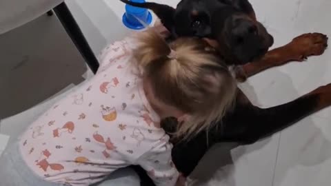 A Little Girl Tries to Ride a Doberman