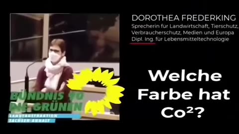 Grüne Dummerchen 🤣🤣🤣