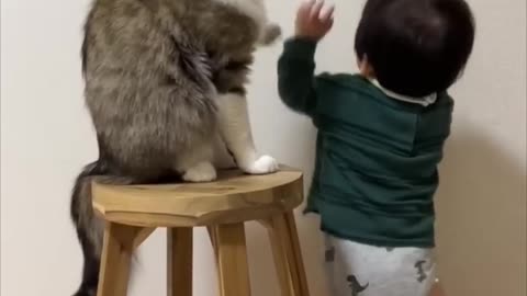 Cat Blocks Little Boy's Door Opening Attempts