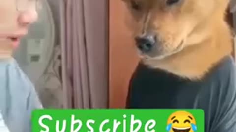 funny dogs dubbing 😂. subscribe for more funny videos #shorts #funnyvideos #pets