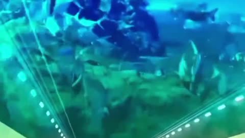 Under water tunnel