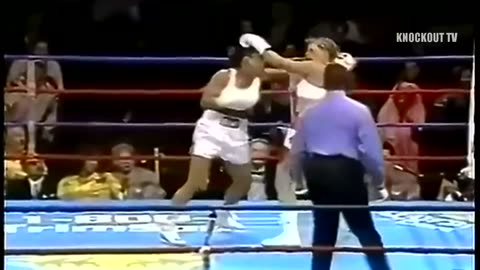 The Untold Story of Laila Ali's Explosive Knockouts – Defying Mohamed Ali's Doubts