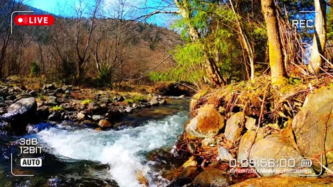 Nature Therapy | Asmr Video No. 086🌈