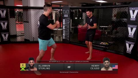 Dominick Cruz Breakdown: Aljamain Sterling vs. Henry Cejudo 👀 | UFC 288