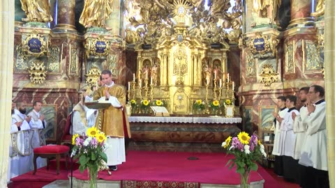 In der Kirche große Verwirrung und in der Welt Chaos, weil man sich vom Willen Gottes entfernt hat!