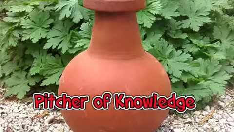 Pitcher of Knowledge (English Short Story)