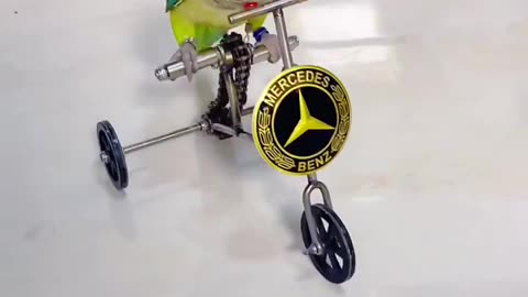 Little green parrot learns to ride a bike well