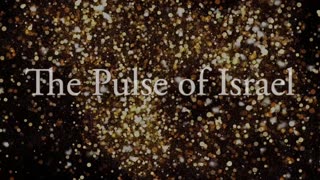 2023 Pulse of Israel "Brave Leadership of Zion Award"