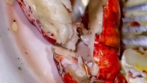 Delicious lobster meat