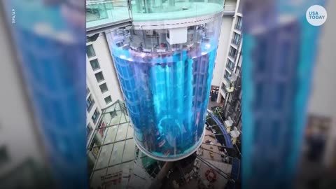 Berlin's AquaDom fish tank bursts, aquarium spills water, tropic fish
