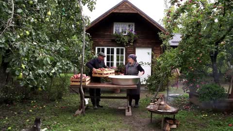 Pick apples