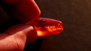 Cherry red 17.80ct Baltic amber with 100% natural plant inclusion