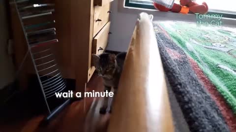 Cat gets annoyed at dad, so this is what he does