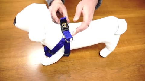 How to use Harness for Dogs- The easiest way to tie harness