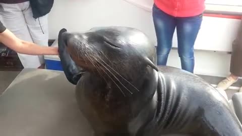 on our boat during a dolphin cruise in Walvis Bay, Namibia_Cut