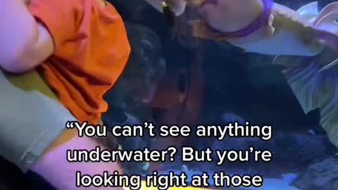 "You can't see anything underwater? But you're looking right at those people!