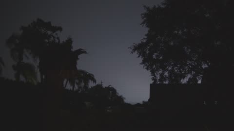 Backyard Lightning