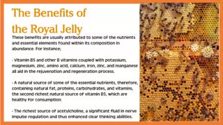 Royal Jelly