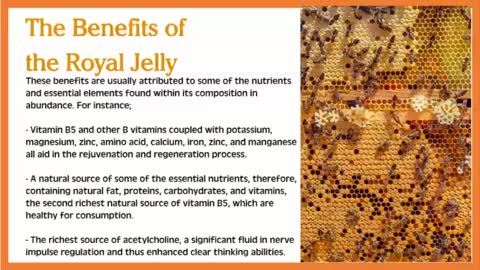 Royal Jelly