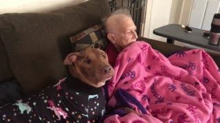 Sweet Doggy Watches Cartoons With Grandma
