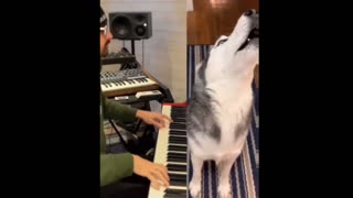 Sound Track For Singing Dogs