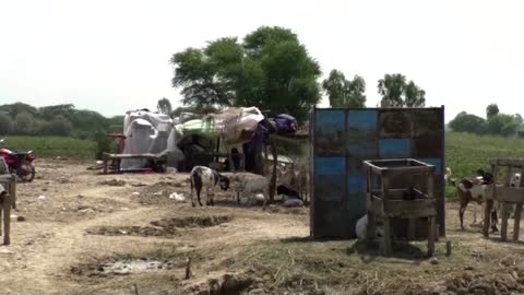 Flood-hit Pakistanis say aid distributed unequally