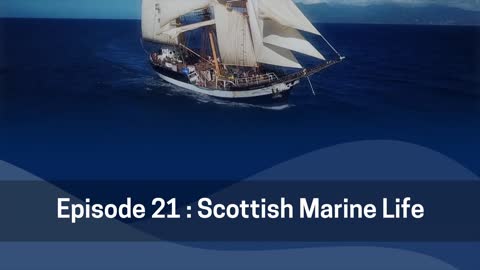 D200 Ep 21: Scottish Marine Life