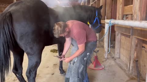 Make new shoes for horses