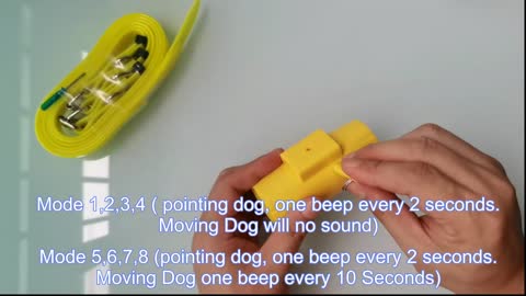 Dog Hunting Beeper