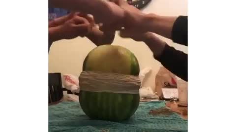 WaterMelon Exploded! Funny Videos | Meme
