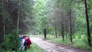 BRUTAL CRASH OTT TANAK - WRC Rally Monte carlo‼️