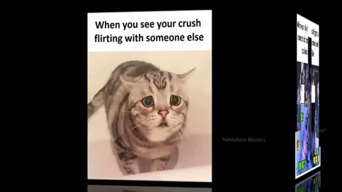 Video of Memes About Having a Crush- 2023 updated