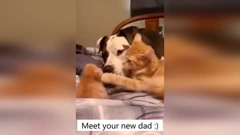 Meet your new dad :)
