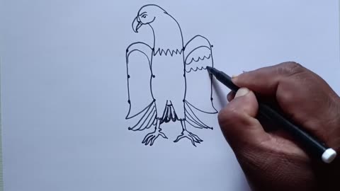 How to draw eagle with dots Eagle drawing dot by dot How to draw eagle step by step