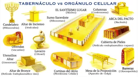 319. Jubileo 120 - TE PRESENTO A DIOS