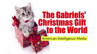 Christmas present for AIM cats