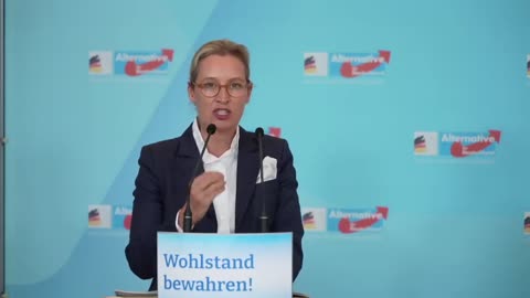 Lügen über Lügen und ein völlig verrückter Gesundheitsminister - Alice Weidel - AfD