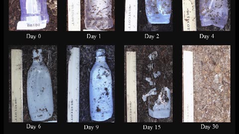 Hempopolis - The Bioplastics Hub