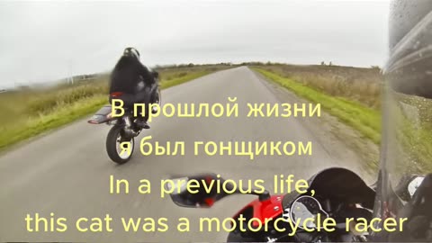 Сat is a motorcycle racer