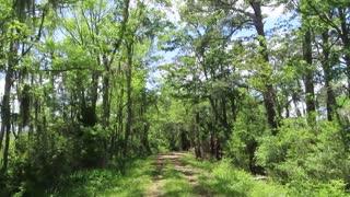 ACE Basin Wildlife Refuge #bloggingfromparadise #travel