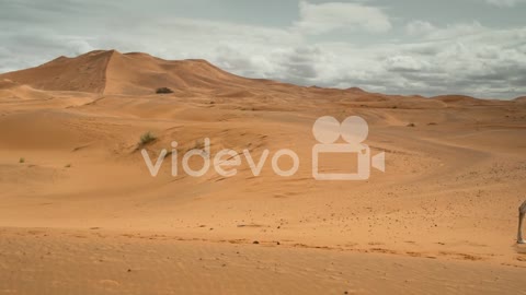 Merzouga Camel 00