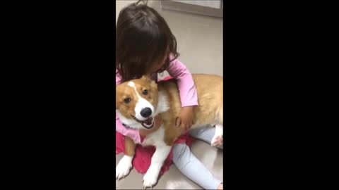 Dog Stops Little Girl's Tantrum