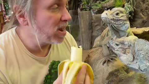 Sharing is caring, but leave the sharing with reptiles to me! 🍌