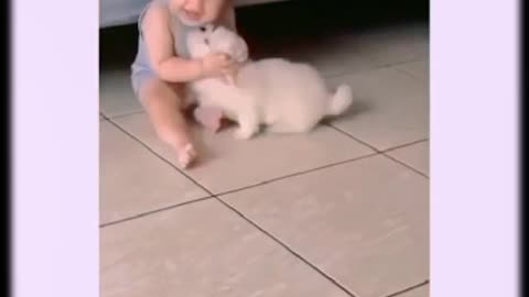 Cute Baby Play with Dog