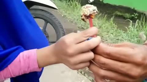 Street Food Indonesian Dessert