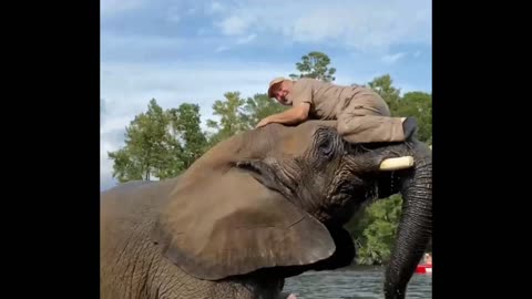 Meeting Bubbles the GIANT ELEPHANT🥰