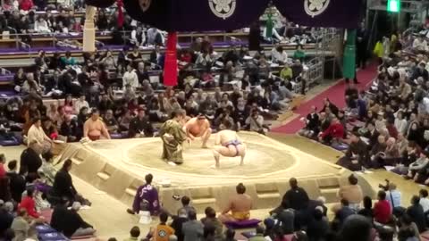 Sumo wrestling Kyoto, Japan