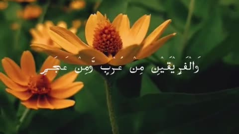 Qaseeda Burda Shareef | قصيدة البردة
