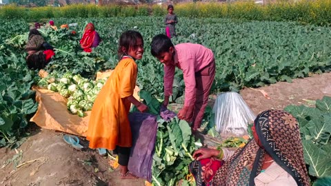 Village of Life in India uttar pradesh Life village poor people With women in Living