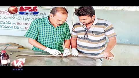 Wounded Cobra Undergoes Spinal Cord Surgery | Teenmaar News | V6 News